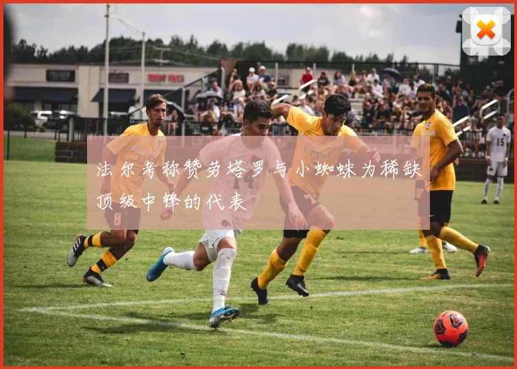 法尔考称赞劳塔罗与小蜘蛛为稀缺顶级中锋的代表
